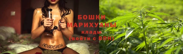 молекула духа Красноперекопск