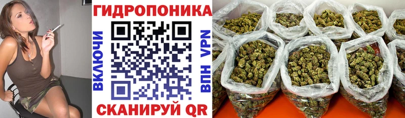 Конопля Ganja  Лысково 